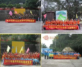 南寧戶外拓展訓練 體驗式培訓熔煉團隊力量，文化藝術交流助推組織活力